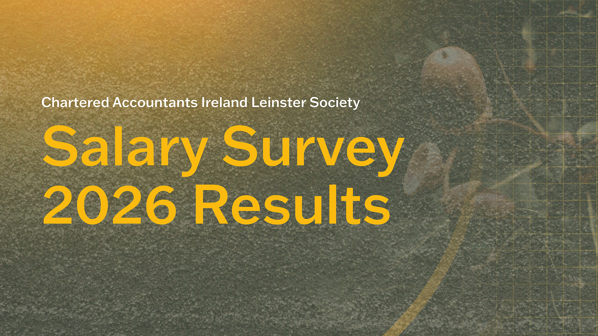Results of the Chartered Accountants Ireland Leinster Society Salary Survey 2026